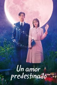 Un amor predestinado (Finalizado)